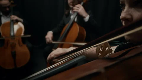 String Quartet Giving Concert Stock Footage 279246908