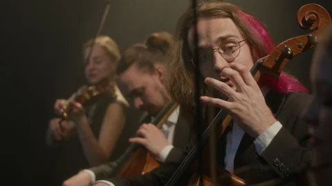 String Quartet Giving Music Concert Stock Footage 279249971