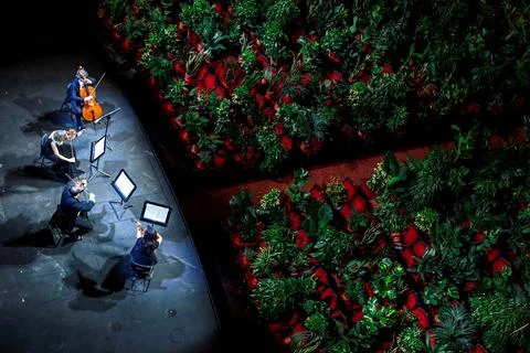 String quartet offers concert to plants, Barcelona, Spain - 22 Jun 2020 Stock Photos