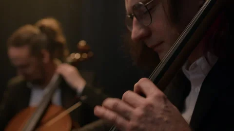 String Quartet Performing Music Vídeo Stock 279244511