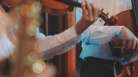 String quartet performs classical music with emotion and passion Stock Footage 325924938