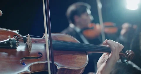 String quartet performs on stage, detail shot 動画素材 84362302