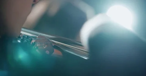 String quartet performs on stage, detail shot Stock-Footage 84362623