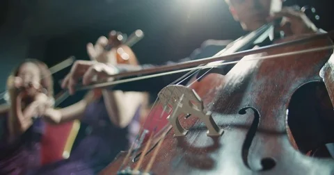 String quartet performs on stage, detail shot 動画素材 85044699