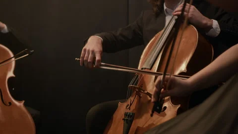 String Quartet Playing Indoors Stock Footage 279244192
