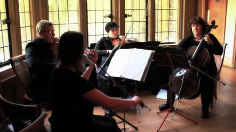 String Quartet Playing at a Wedding - Classical Music HD Stock Footage 22936680