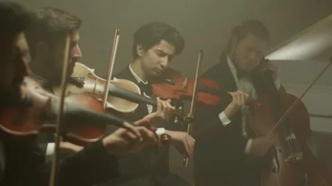 The string quartet plays classical music,medium shoot Stock Footage 149194117