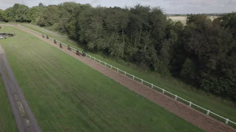 A string of racehorses on the gallops Stock Footage 252068533