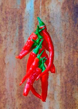 String of Red Chillis Stock Photos