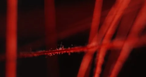 String theory in the universe. Visualization of a scientific concept Video stock 277419987