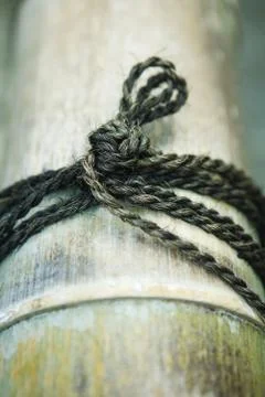 String tied in knot around bamboo, close-up Stock Photos