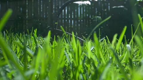 String Trimmer Cutting Grass Stock Footage 82920274