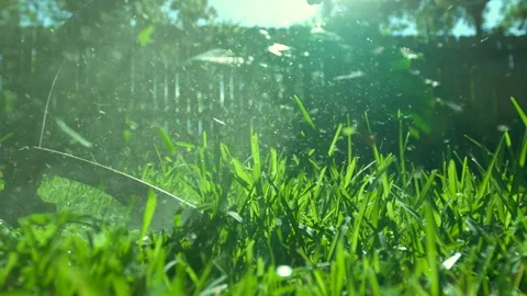 String Trimmer Cutting Grass (Medium) Video stock 82958223