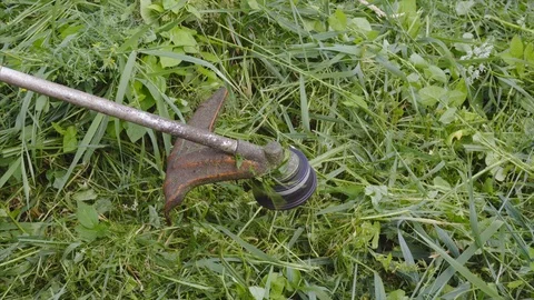 String trimmer head close up. Stock Footage 115730709