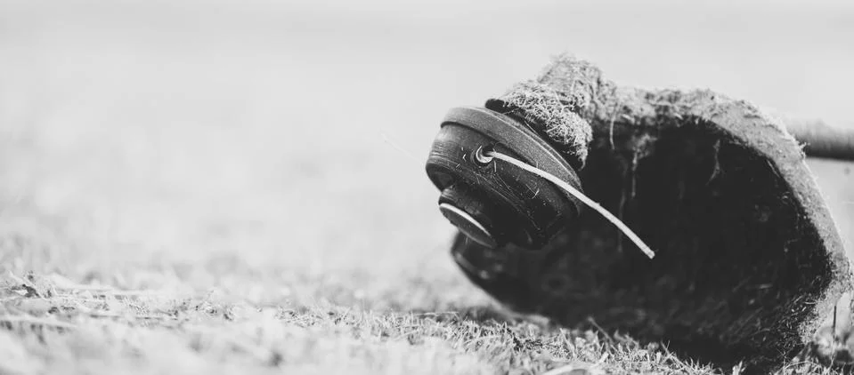 String trimmer on mown grass, close up. Theme of lawn care services, tool rental Fotos Stock