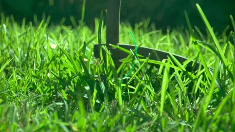 String Trimmer starting up Video stock 82970507