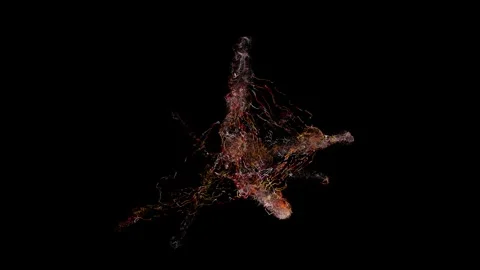String01 Stock Footage Stock Footage 335852199
