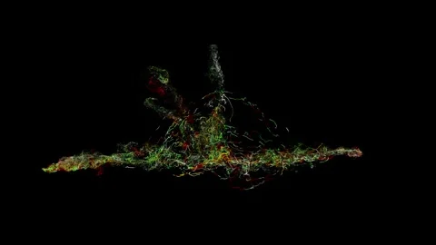 String02 Stock Footage Stock Footage 335852208