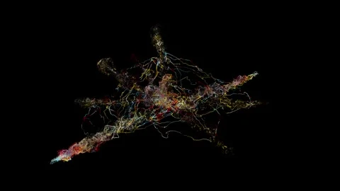 String03 Stock Footage Stock Footage 335852213