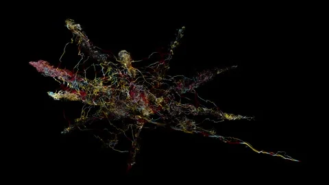 String04 Stock Footage Stock Footage 335852218