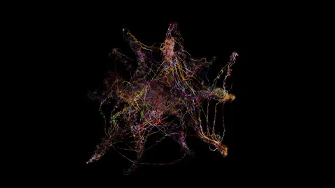 String07 Stock Footage Stock Footage 335852234