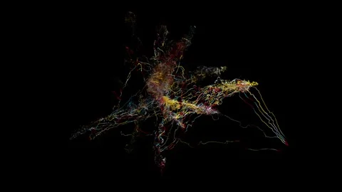 String11 Stock Footage Stock Footage 335852252