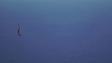 Stringed bird kite loop around Stock Footage 121755797