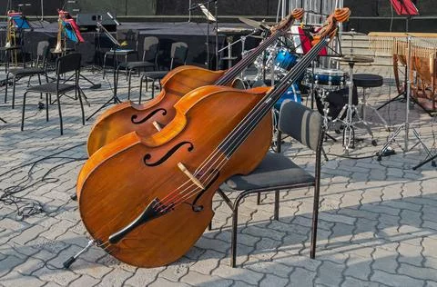 Stringed bowed musical instrument double bass Foto stock