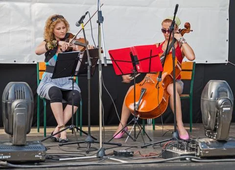 Stringed duet Stock Photos