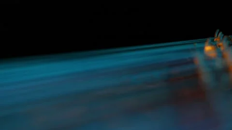 Stringed instrument close-up 6 Stock-Footage 311336959