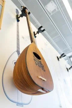 Stringed instrument. Stock Photos