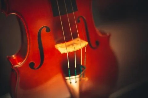 Stringed instruments for classical music Concept of classical and good music Foto stock