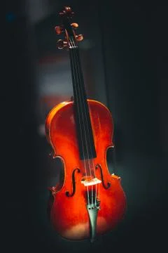 Stringed instruments for classical music Concept of classical and good music Stock Photos