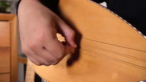 Stringed musical instrument Stock Footage 201017625