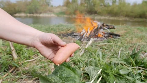 Stringing sausages on a fresh branch against the backdrop of a campfire in the Stock Footage 75397157