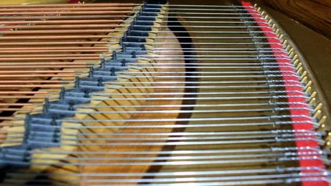 Strings with dampers Stock Photos