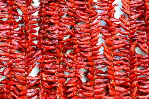 Strings of Espelette peppers drying 스톡 사진