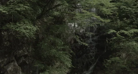 Strings fall zoom back, 4k non color graded (4000x2160) Video stock 50136507