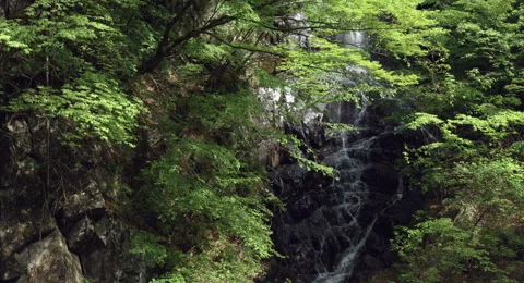 Strings fall zoom back, 4k color graded (4000x2160) Stock Footage 50137428