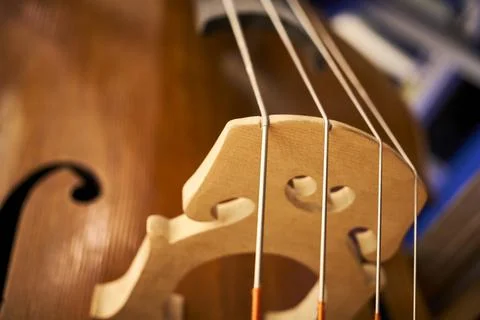 Strings of an old contrabass closeup with background Stock Photos
