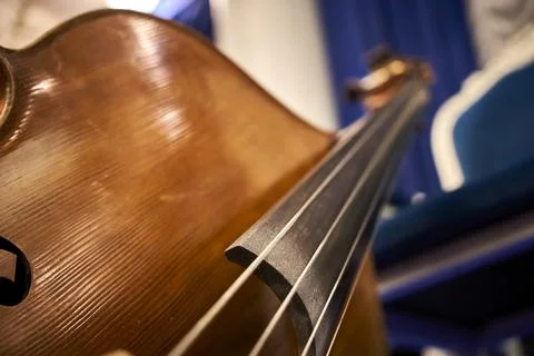 Strings of an old contrabass closeup with background Stock Photos