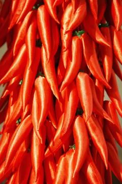 Strings Of Red Chillies Stock Photos