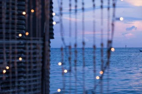 Strings of seashells and christmas lights Stock Photos