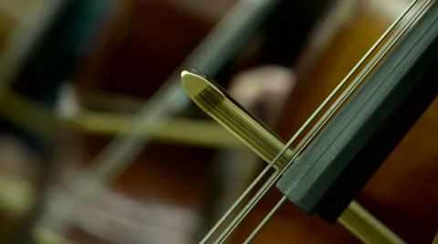Strings section in an orchestra Video stock 56236775