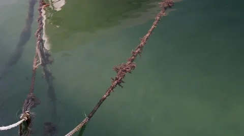 Strings submerged in the sea Stock Footage 67646133