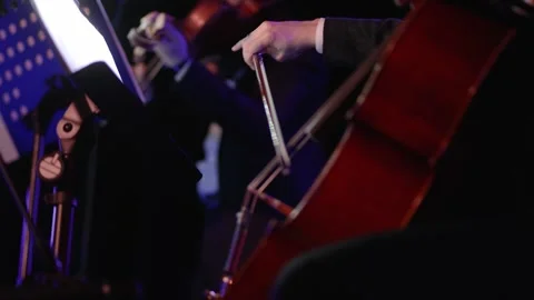Strings of Symphony Stock Footage 318420863