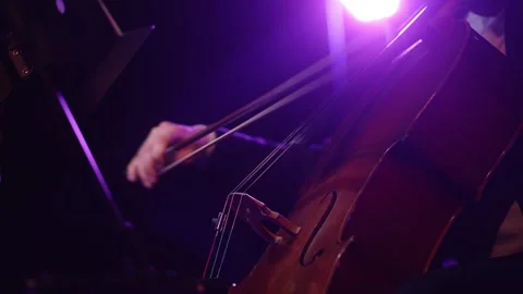 Strings of Symphony Stock Footage 318420936