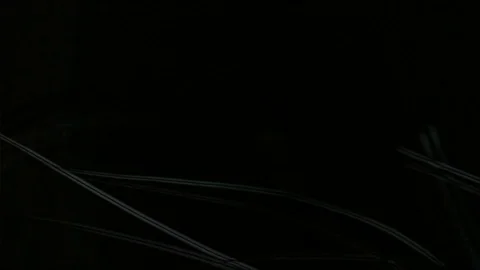 Strings template/stransition in black and white Video stock 102782681