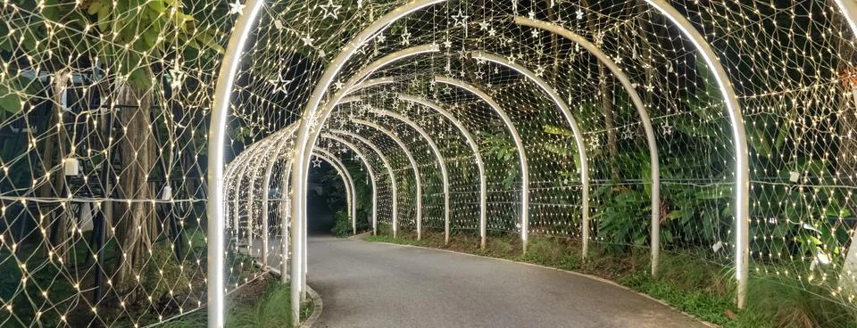 Strings of tiny star lights hang across curved frames in a bright display, .. Foto stock