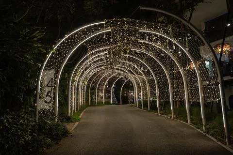 Strings of tiny star lights hang across curved frames in a bright display, .. Foto stock